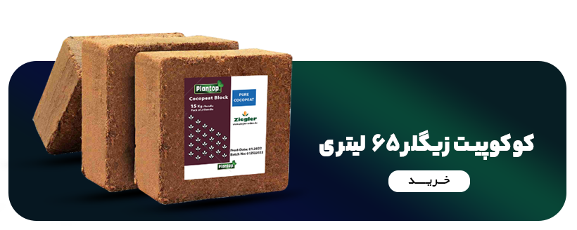 کوکوپیت زیلگر